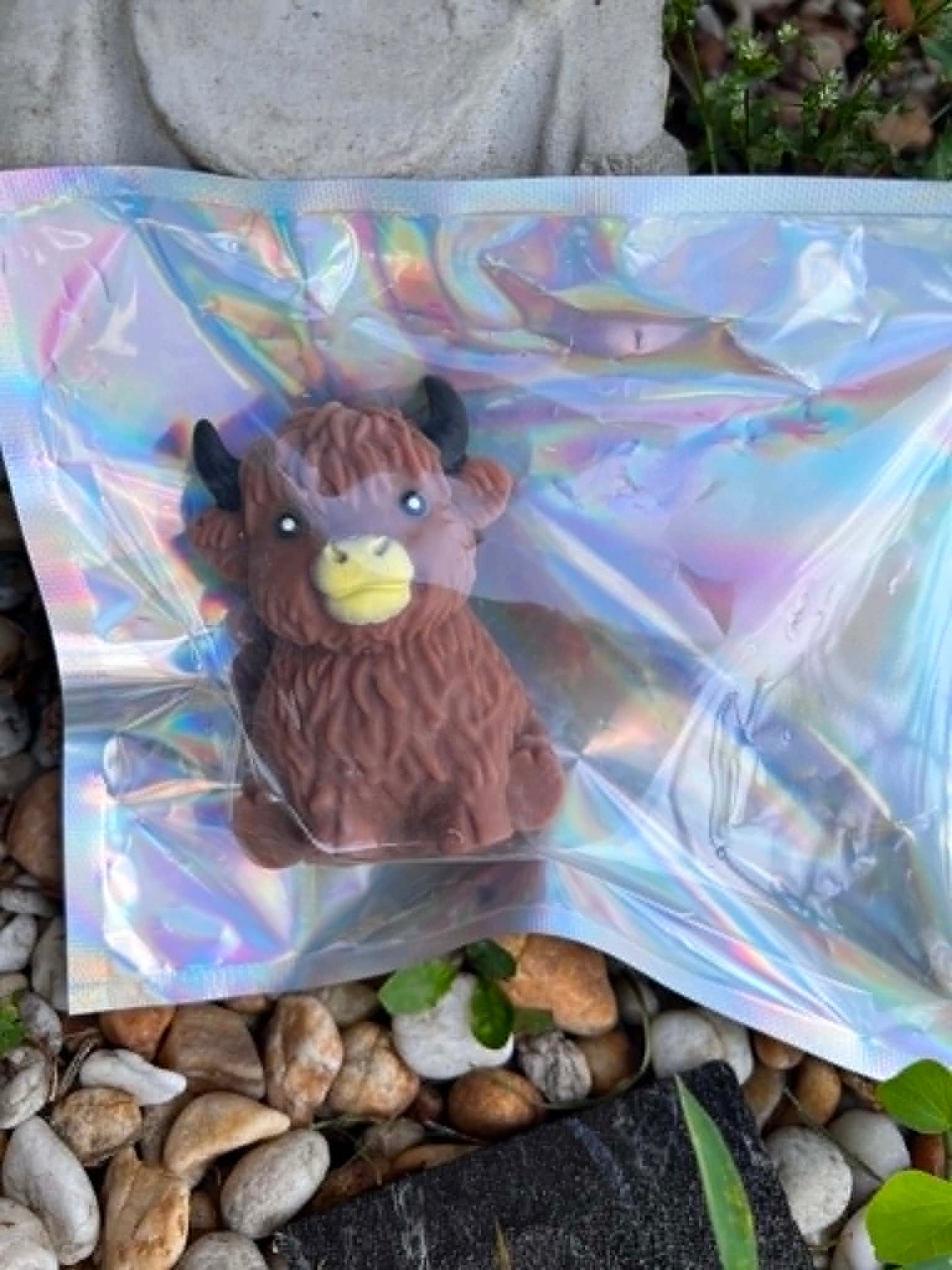 Preorder cow squishes