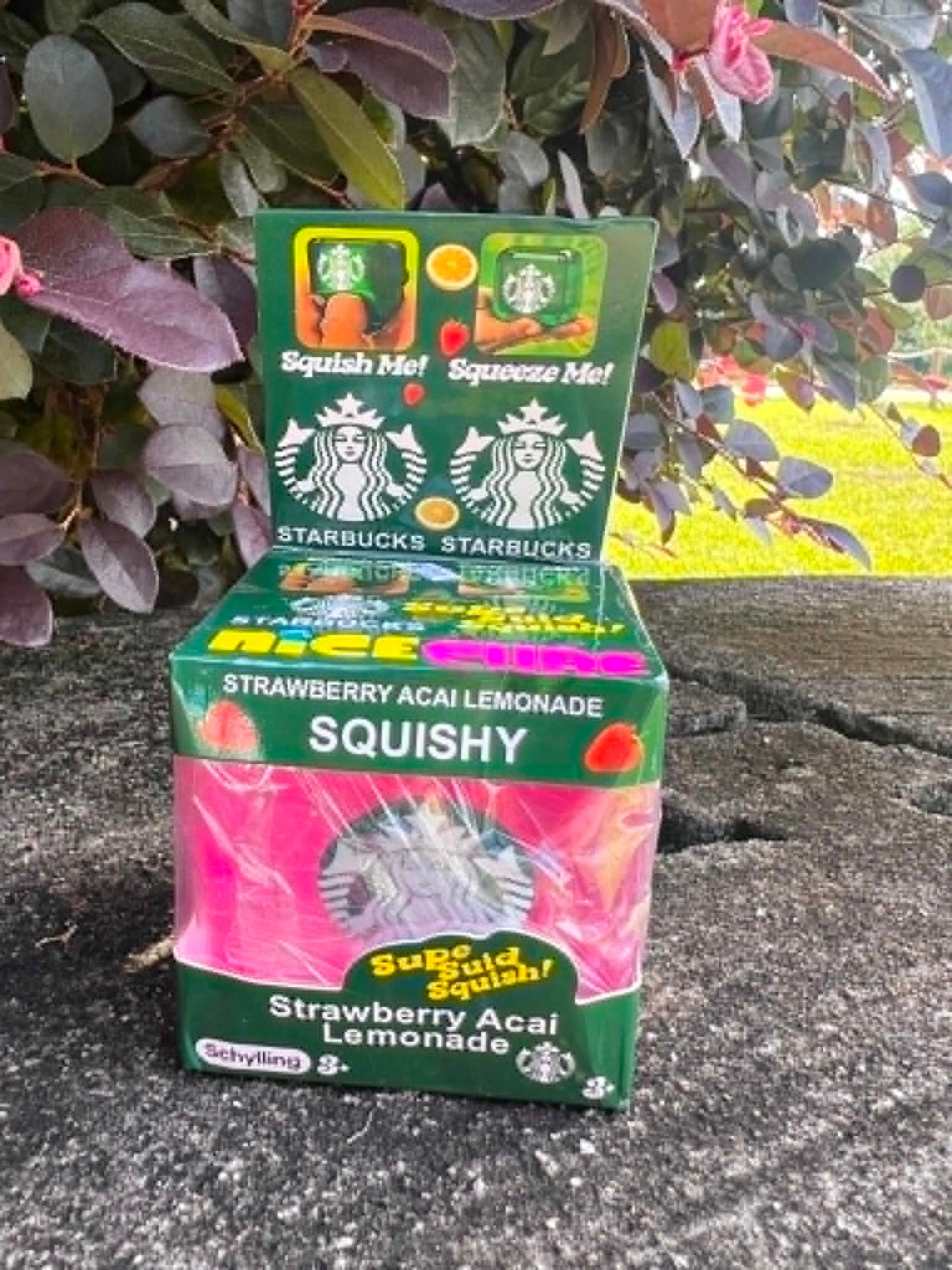 Preorder Starbucks squishes