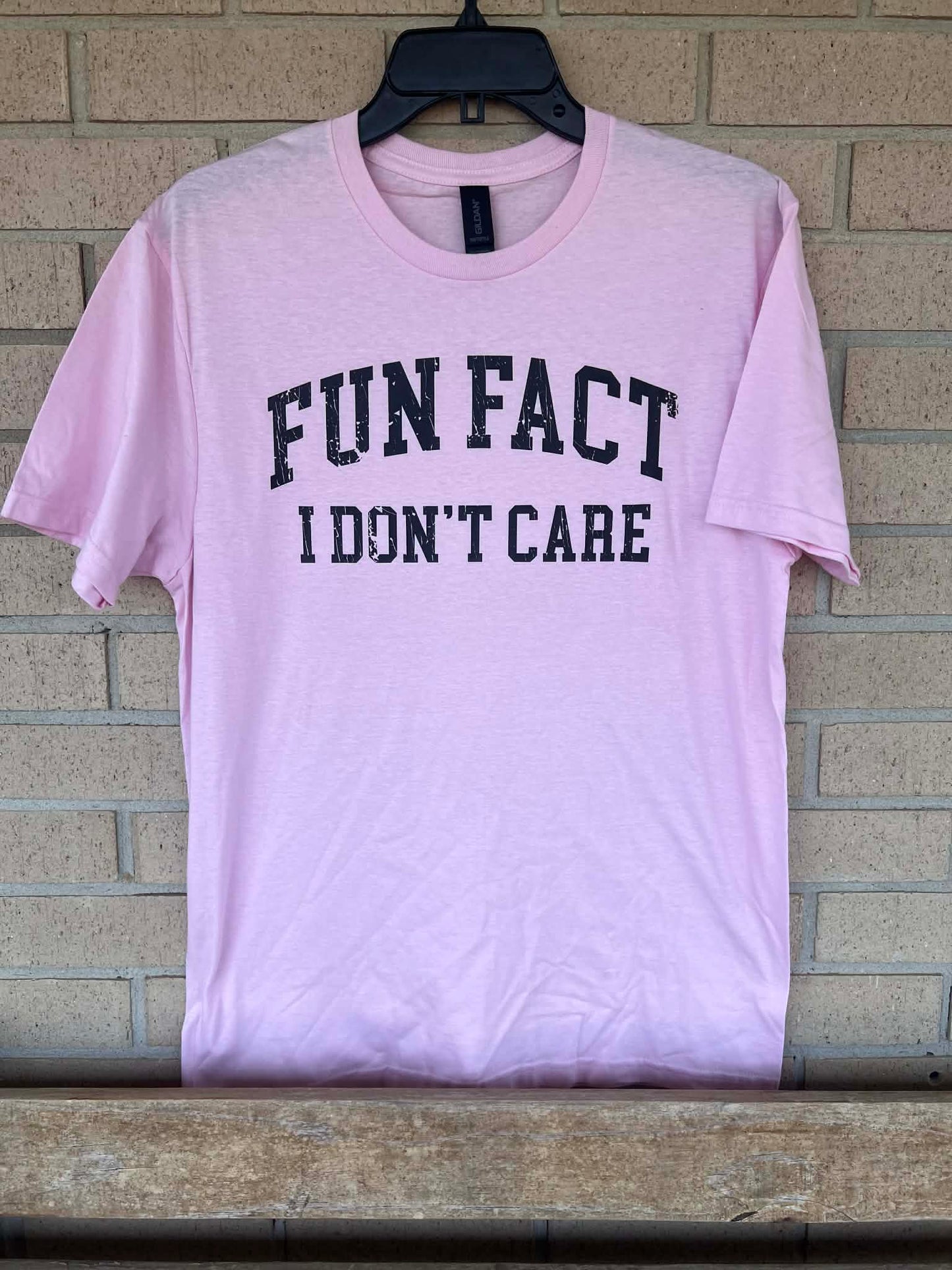 Fun Fact I don't care tee