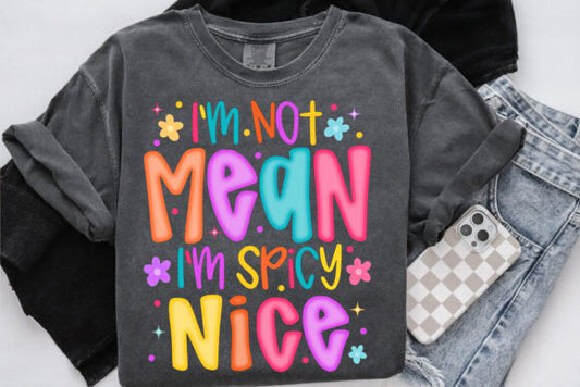 I'm Not Mean I'm Spicy Nice tee