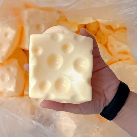 PREORDER Squishy cheese