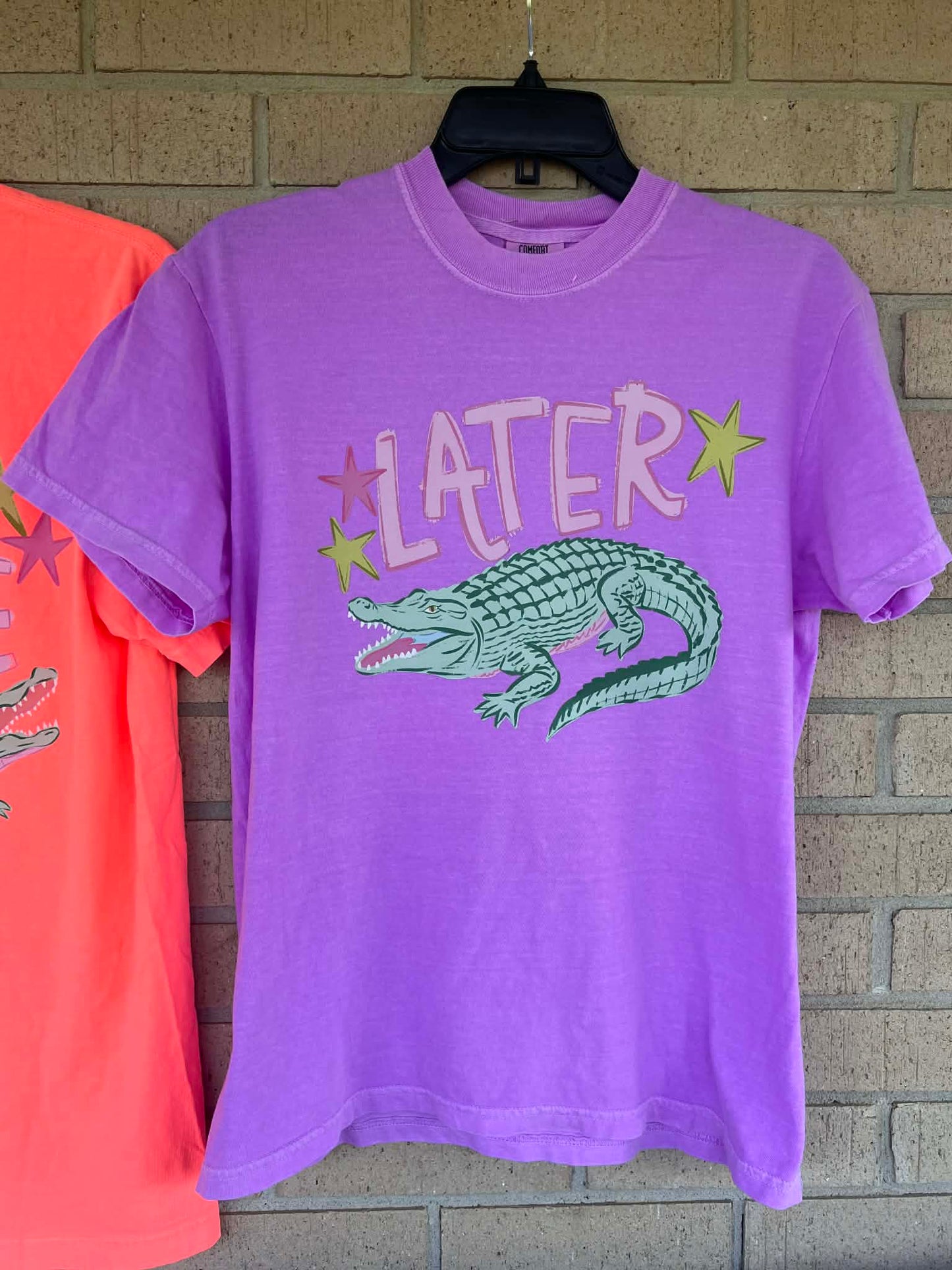 Later Gator, After While Crocodile tee